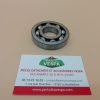 Roulement de vilebrequin 8 billes -  D. 25 / 62 / 12 pour Vespa acma / vnb / gt / gtr / rally / px / t5