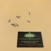 Set de 8 vis pour baguettes  de tapis de poutre pour vespa primavera / 50 / PX 1ére série / GTR / Rally / Sprint / VBA-VBB-VNA-VNB ....