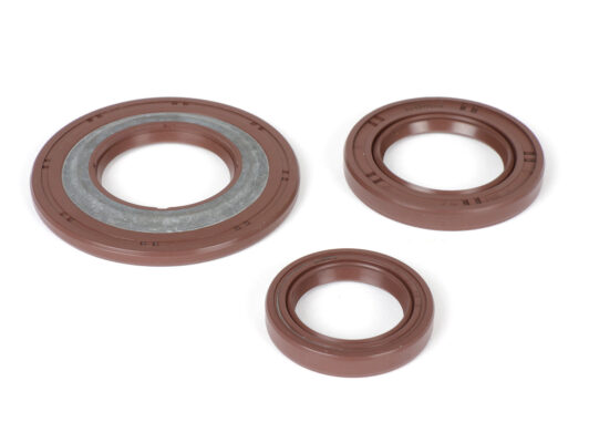 Kit joints spi pour moteur -BGM PRO, FKM/Viton® (résistant à E10), pour  Vespa PX  (1984-1986) - PX80, PX125, PX150, PX200, T5 125cc, Cosa - joint spy roue arrière 30x47x6mm (externe)